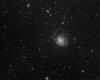 M1010