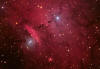 NGC6559 IC4685 B303 Bright/dark nebulae in Sagittarius