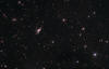 Arp 157  NGC 520 Galaxy in Pisces