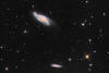 Arp 18 (NGC 4088) galaxy in Canes Venatici