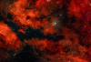 IC 1318 Emission nebula around gamma Cygni