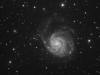 M101 Spiral Galaxy in Ursa Major