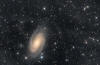 M81 Galaxy in Ursa Major with IFN