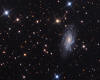 NGC 2541 Galaxy in Lynx