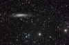 NGC 3109 Galaxy in Hydra