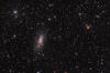 NGC 3621 Galaxy in Hydra