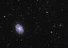 NGC 3810 Galaxy in Leo
