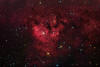 NGC 7822 Emission Nebula in Cepheus