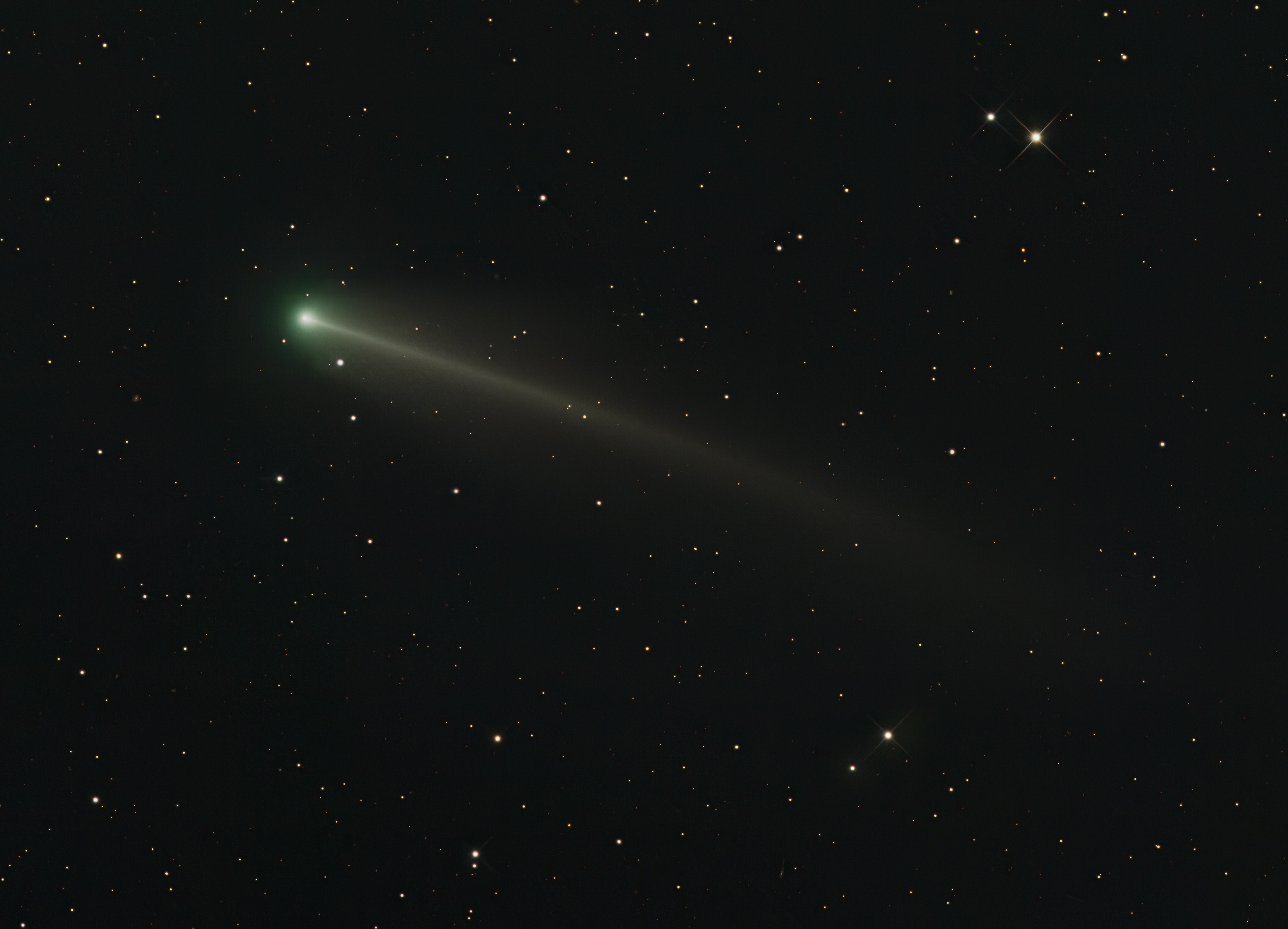 220P Mcnaught