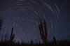 Catalina Star Trails