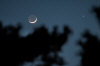 Moon and Venus 3-22-2015