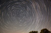 Perseids star trails 081116