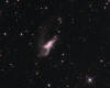 Arp 157  NGC 520 Galaxy in Pisces