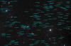 Arp 328 & 64 Galaxies in Bootes