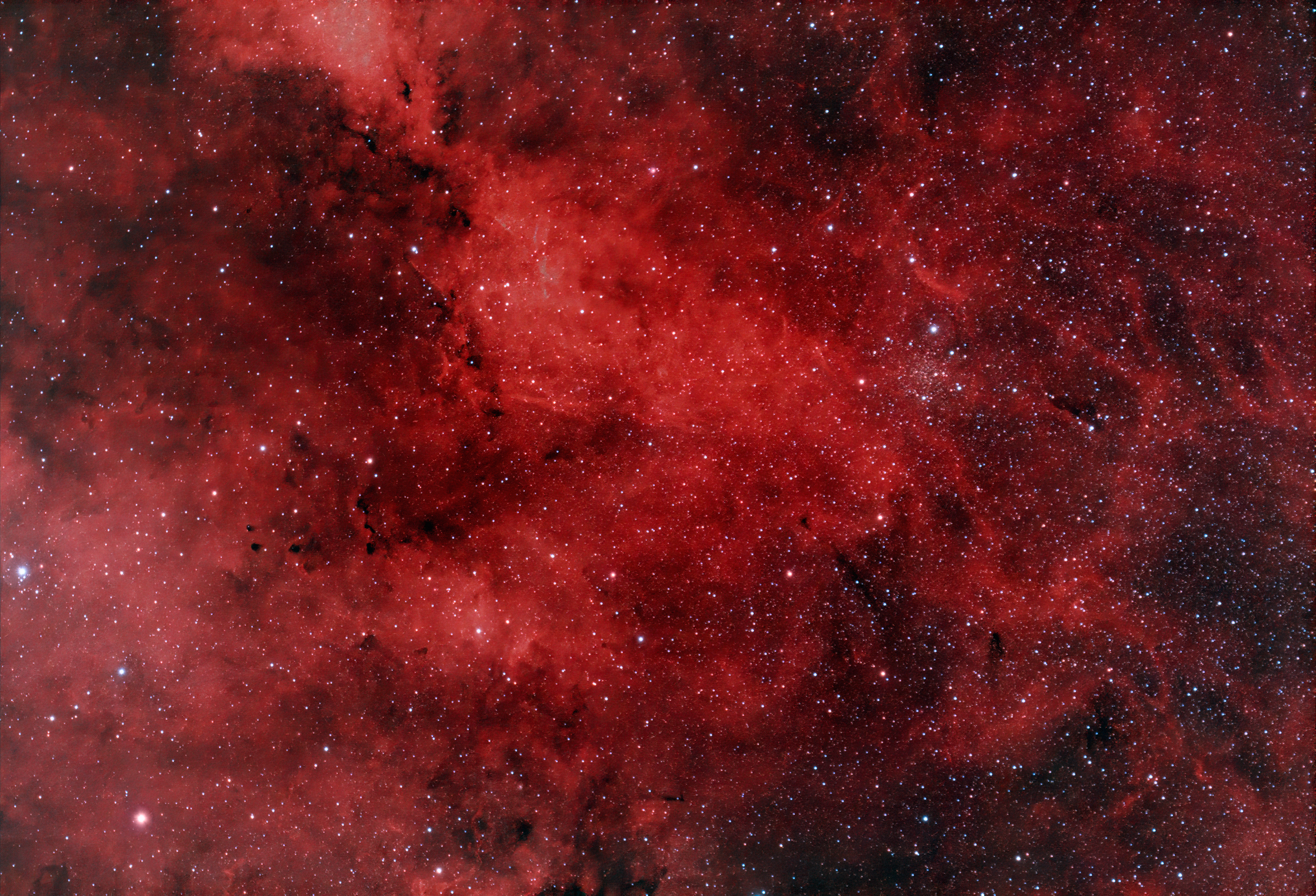 IC 1318 NW or gamma Cygni