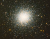 M13 crop