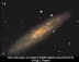 ngc253wcmy.jpg (49027 bytes)